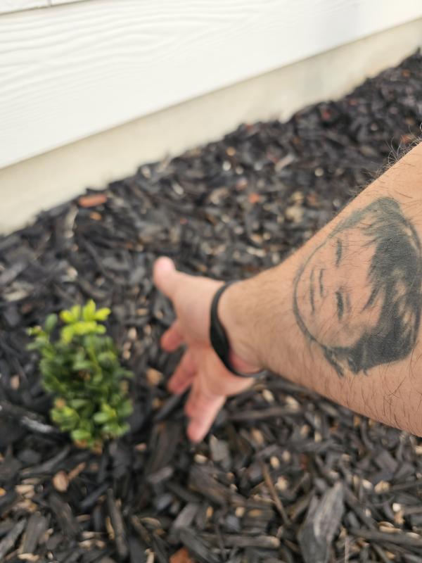 Container size is huge