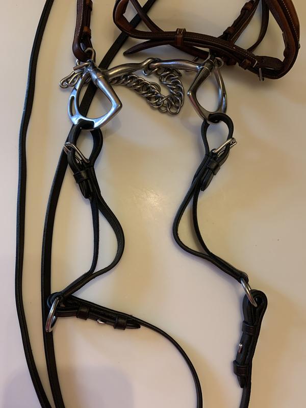 Rein-aids on Cody’s bridle