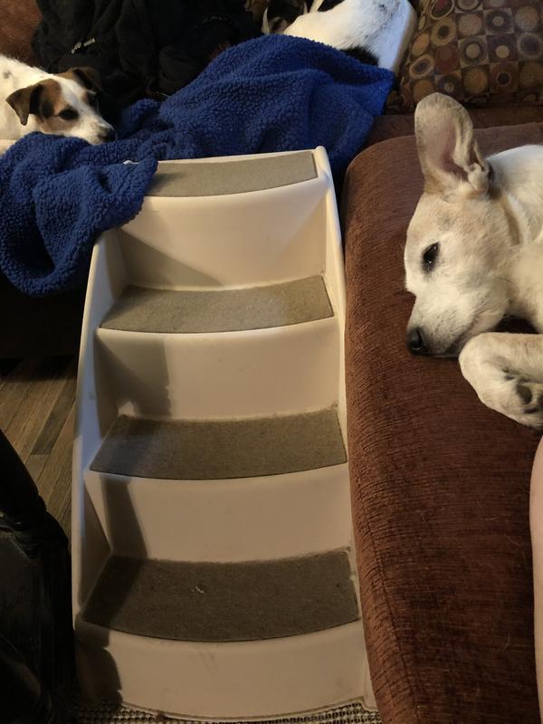 Steps to the couch