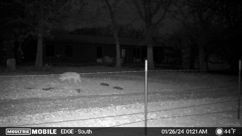 App. 50 ft from camera