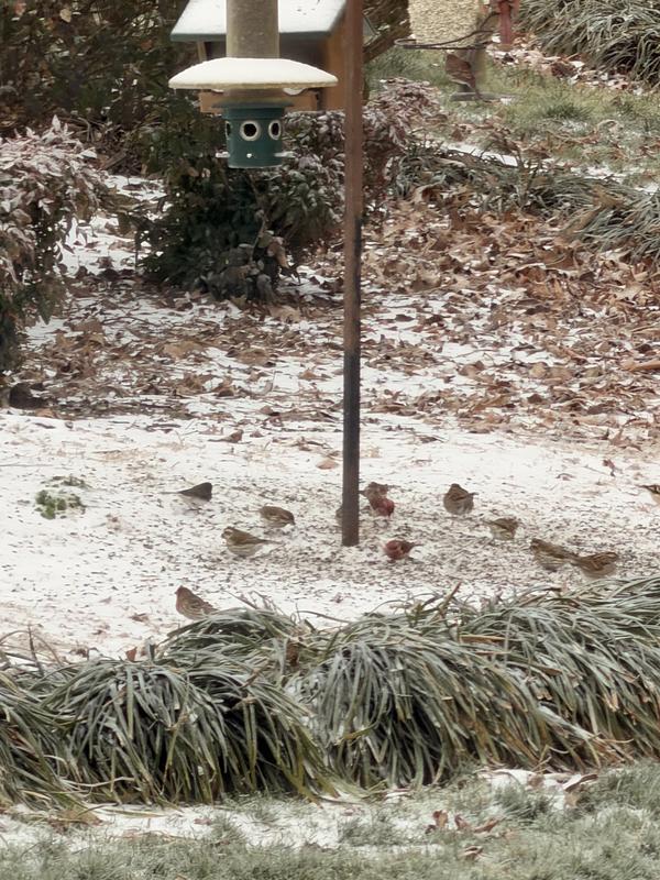 Just some random pictures