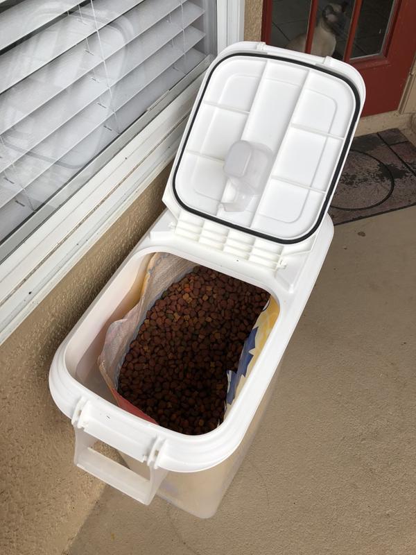Feeding only lid opening for easy access. Note removable scoop on lid! (and cat in window).