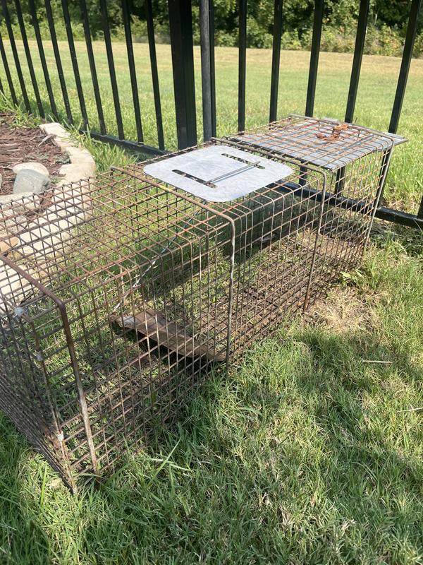 Older model effective