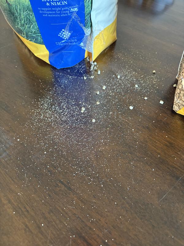 Bag 1