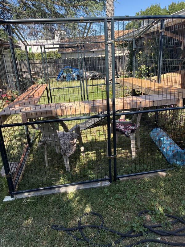 Catio spa days are coming