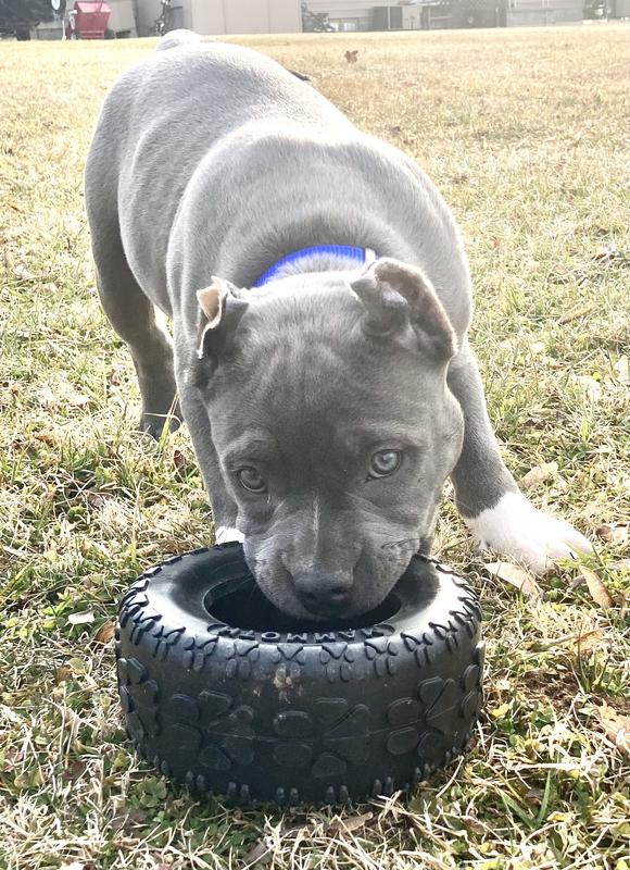 Going on a month with this tire and it still going strong