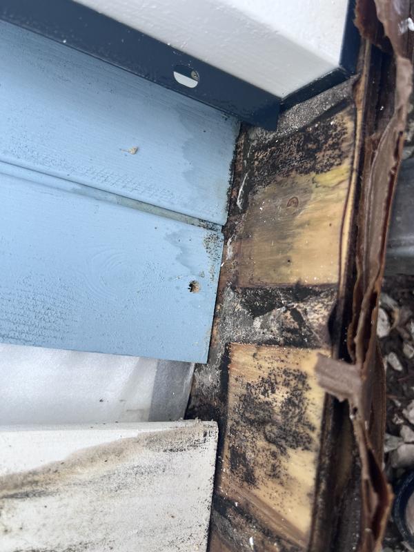 Review photo 4.