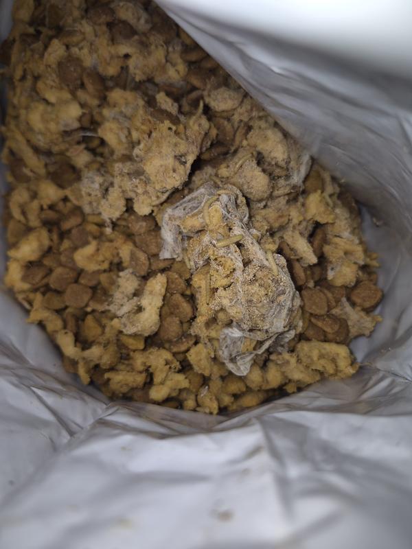 Review photo 1.