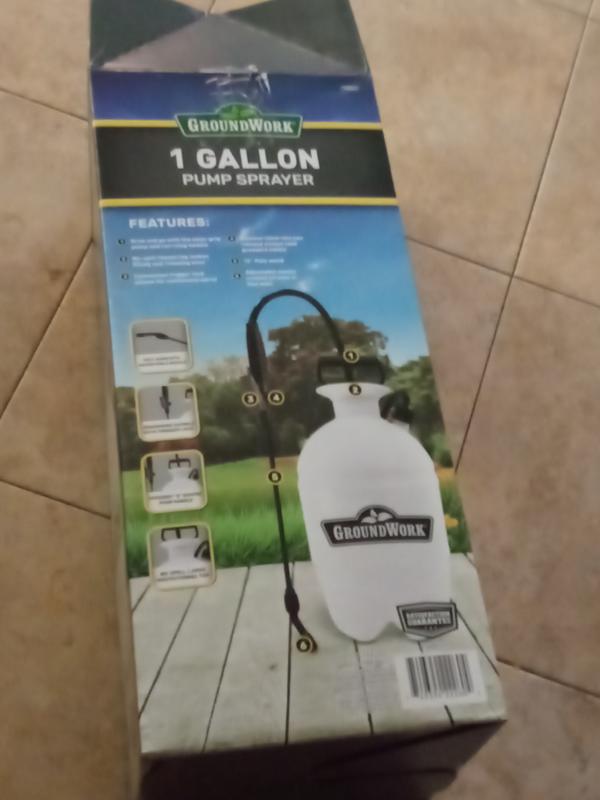 Review photo 2.