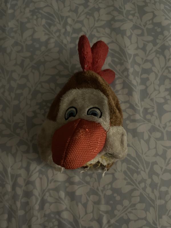 Chicken head