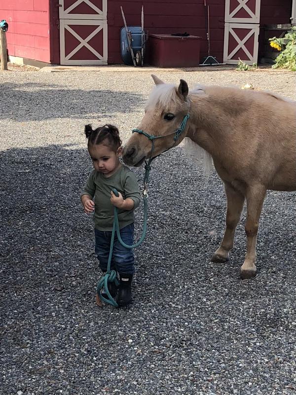 Even the littlest approves