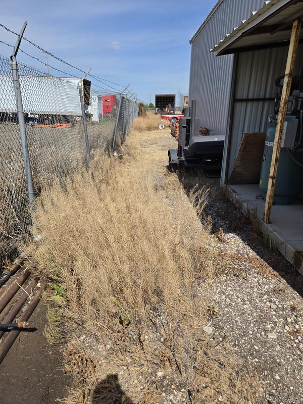 Kills tough weeds