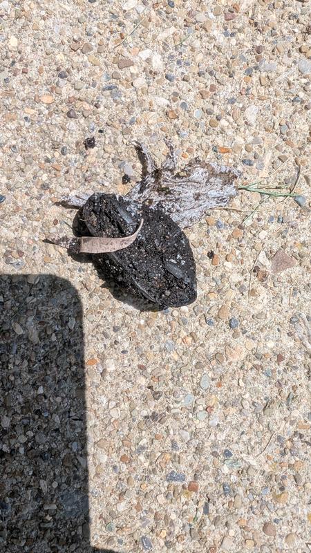 The bottle cap & a couple of examples of WHAT I found throughout this bag of stuff!?