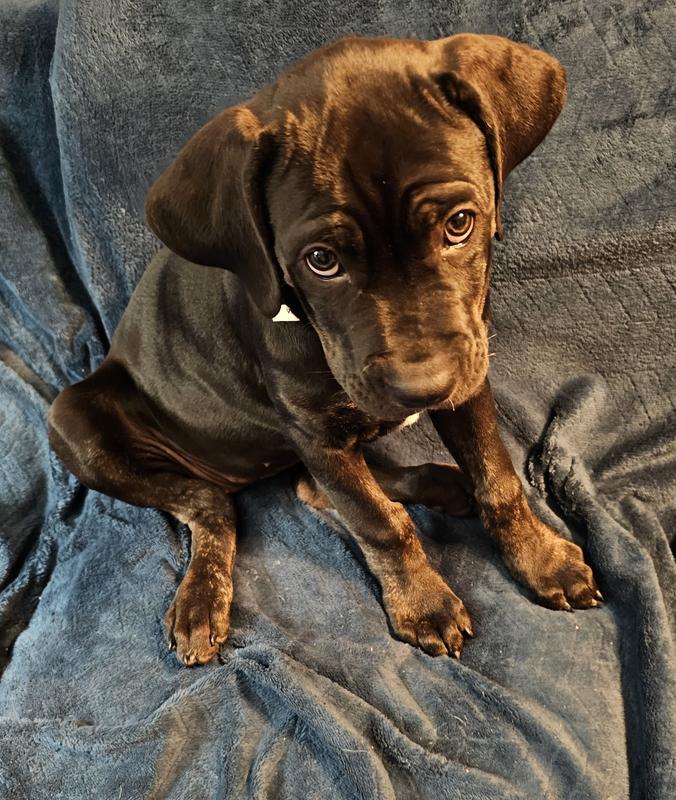 Look at that lil face!!!