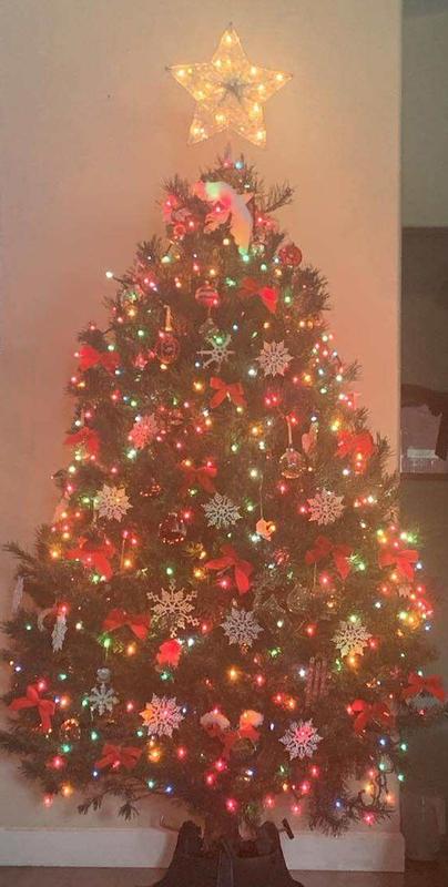 Christmas Tree from Tractor Supply in Owensville, MO