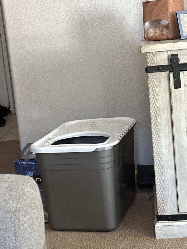 Dog pic for tax purposes