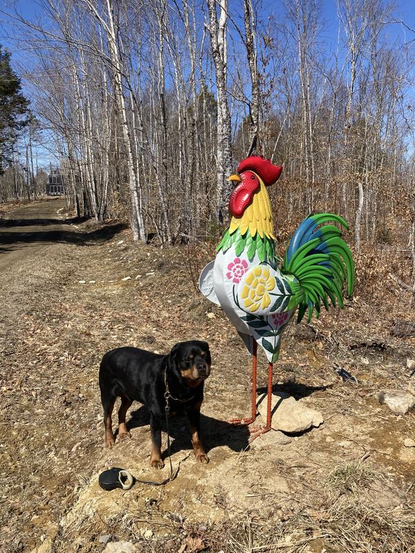 Auch unser Hund mag ihn!