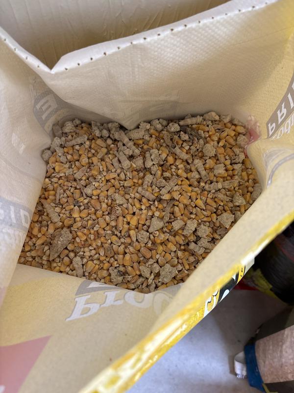 Producers Pride Whole Corn is Garbage