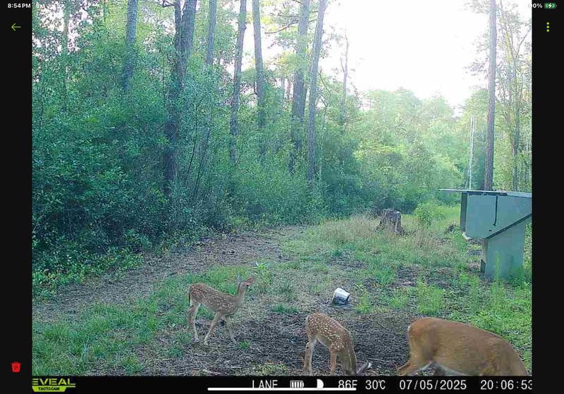 Time line from start to finish