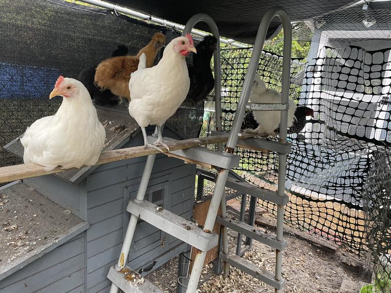 2025- still up and working. Only take down for hurricanes.