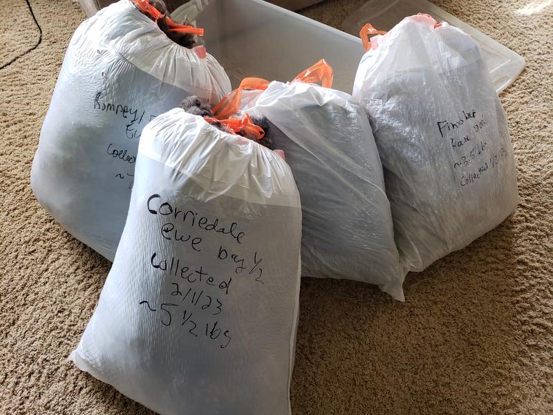 Result of my favorite 2022 holiday gift, the rechargeable Andis Shears.