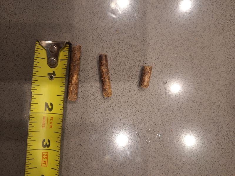 Pellets aren't uniform in size, the longer ones jammed the feed auger.