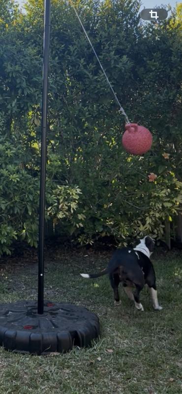 Baby girl playing with her peppermint flavored ball