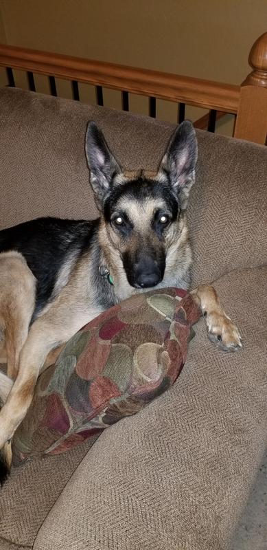 I'm not so itchy now.