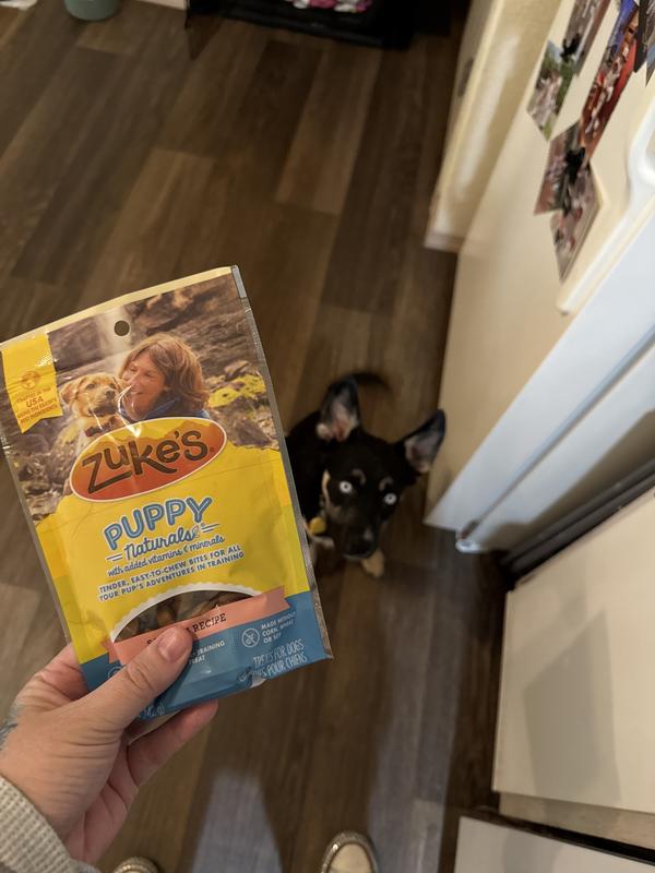 Puppy snacks