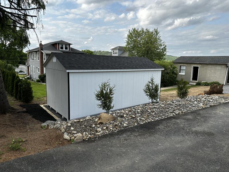 Green Giant Arborvitae