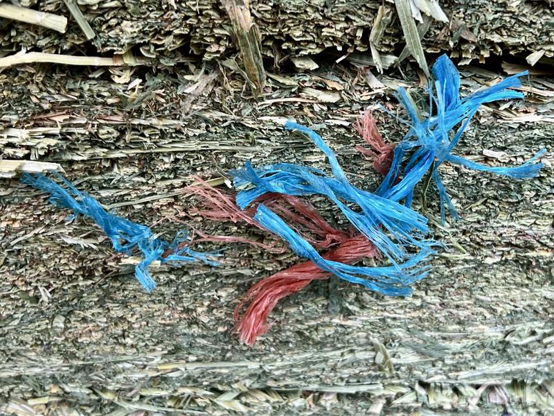 Pulled these off the outside, found several more inside