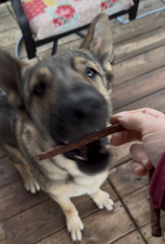 Chomp!