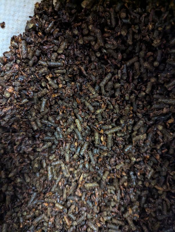 Triple Crown Senior food