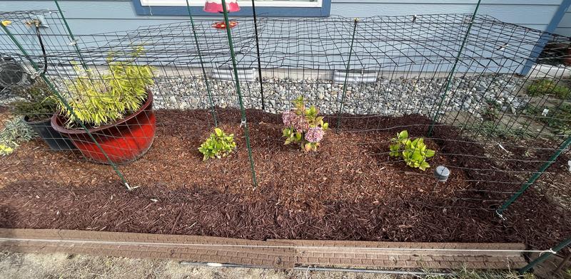 temporary deer proofing