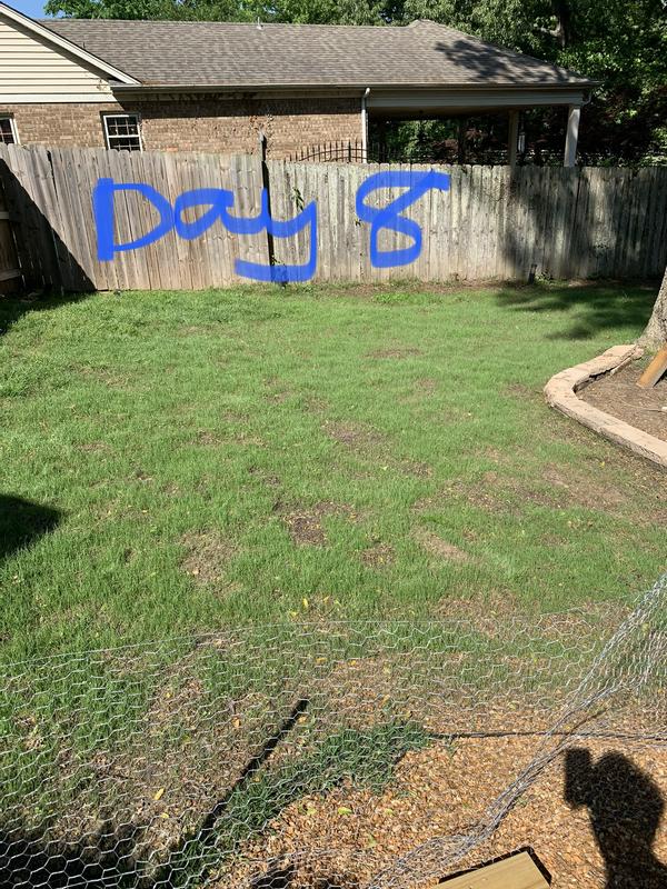 Day 8
