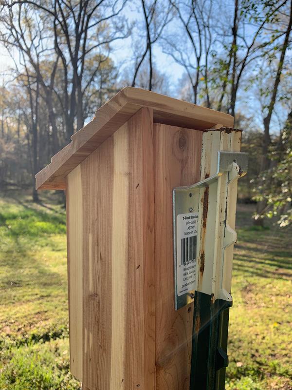 Bluebird house with bracket