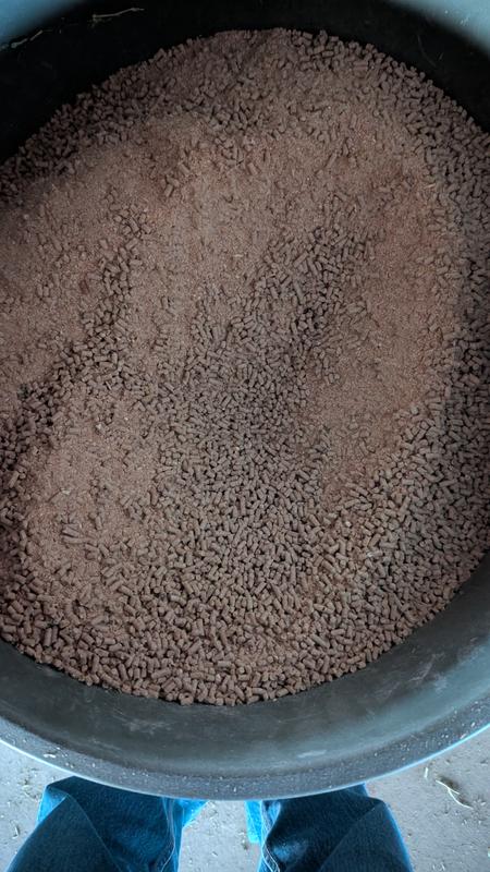 Producers Pride 12% Pelleted Horse Feed fines