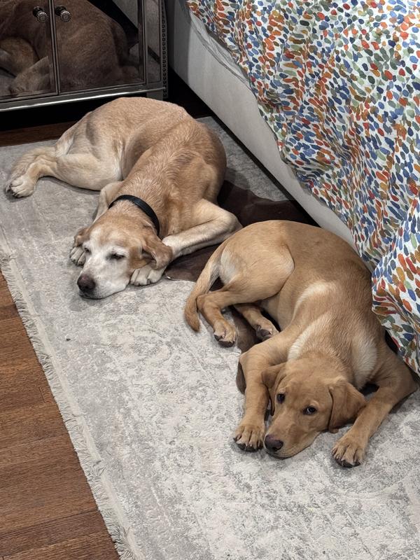 Review photo 1.