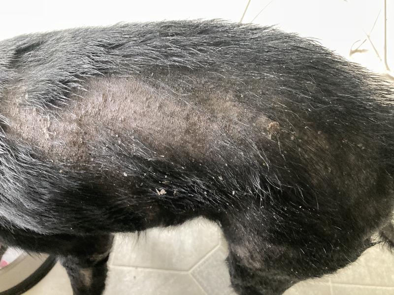 Before (Aug. 29th, 2021)