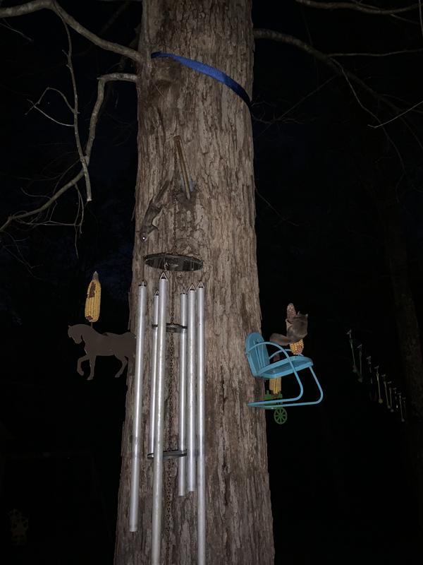 The flying squirrels love it