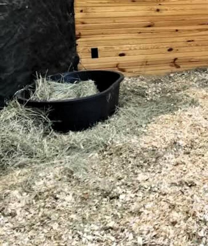 Beautiful hay for my horses