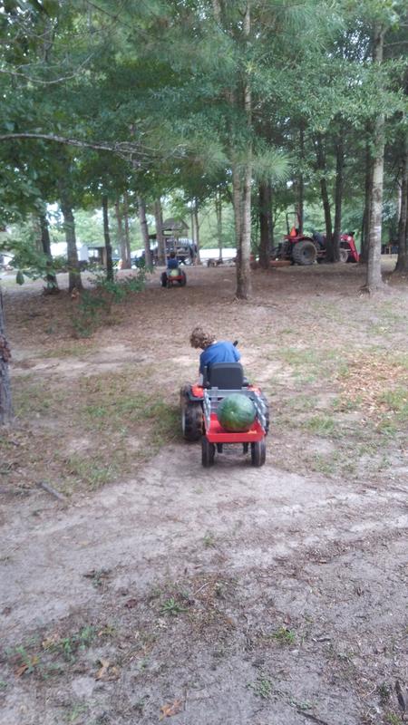 Hauling watermelons!