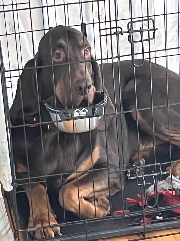 Excuse me my bowl us empty