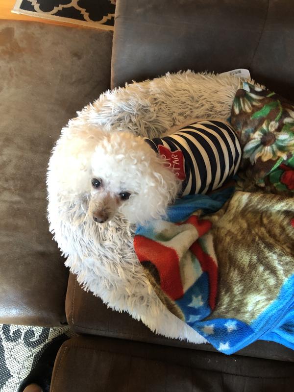 Frosty and Barney love my babys