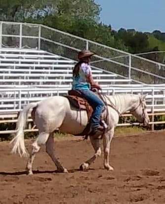 Even white horses can shine