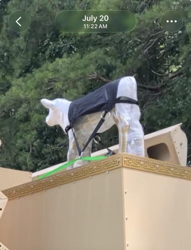 Golden Calf in a calf sling