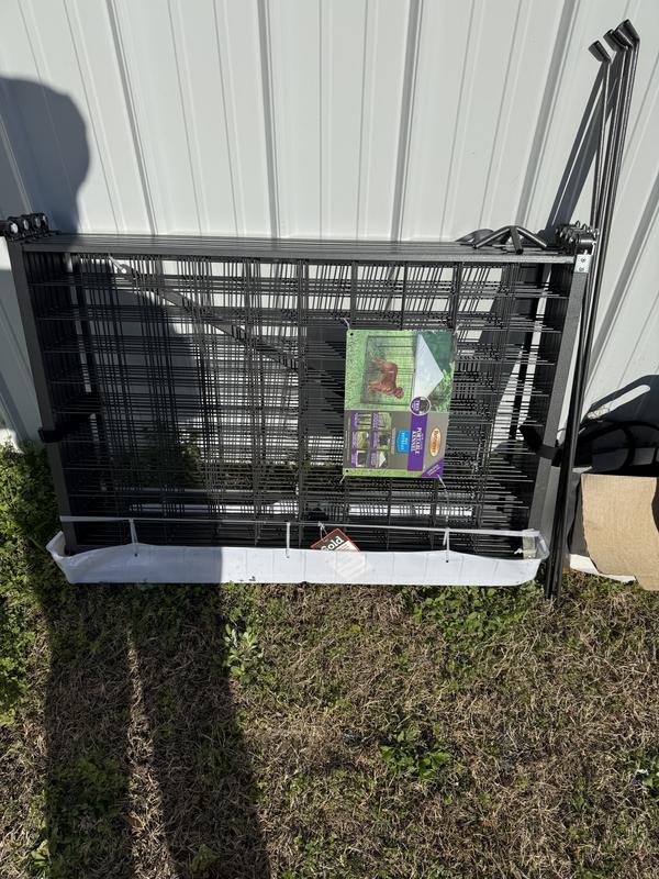 After moving it from my front yard