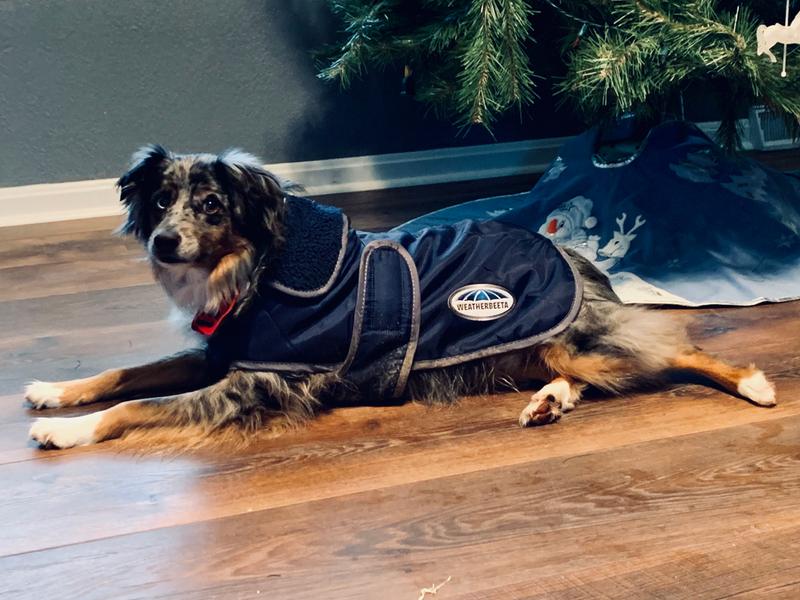 Yea early Christmas for me!!