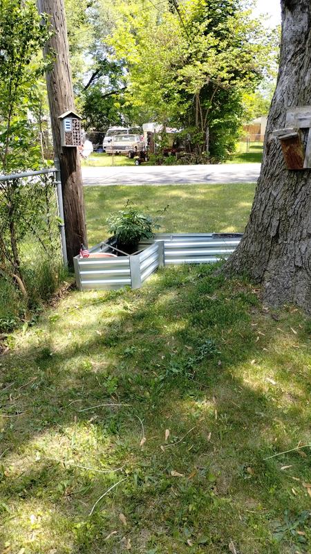 Placed in the yard