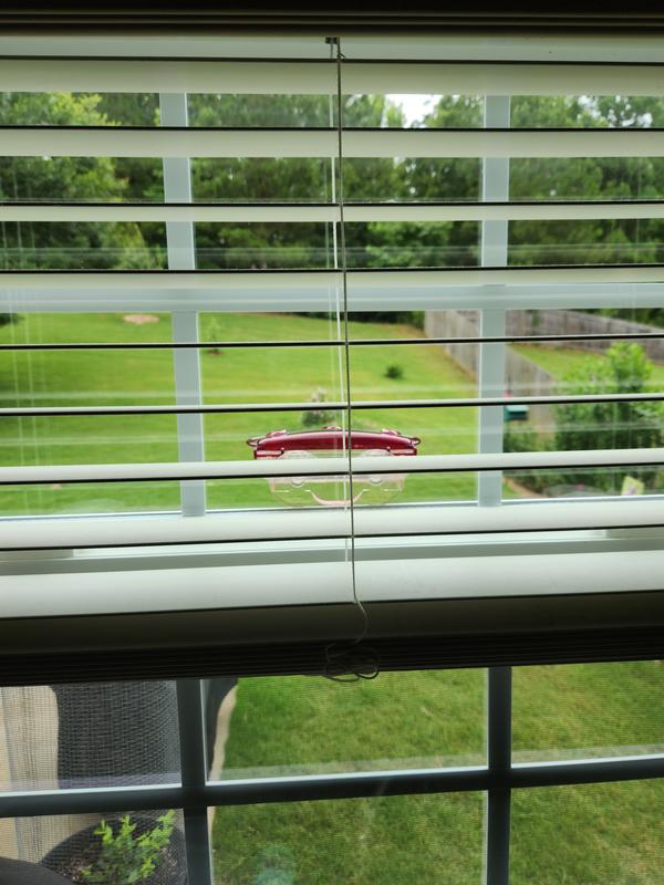 Kitchen window feeder